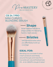 Load image into Gallery viewer, CB Pro Mastery Brush Set