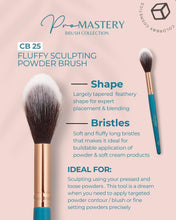 Load image into Gallery viewer, CB Pro Mastery Brush Set