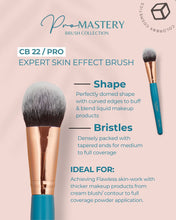 Load image into Gallery viewer, CB PRO MASTERY BRUSH SET
