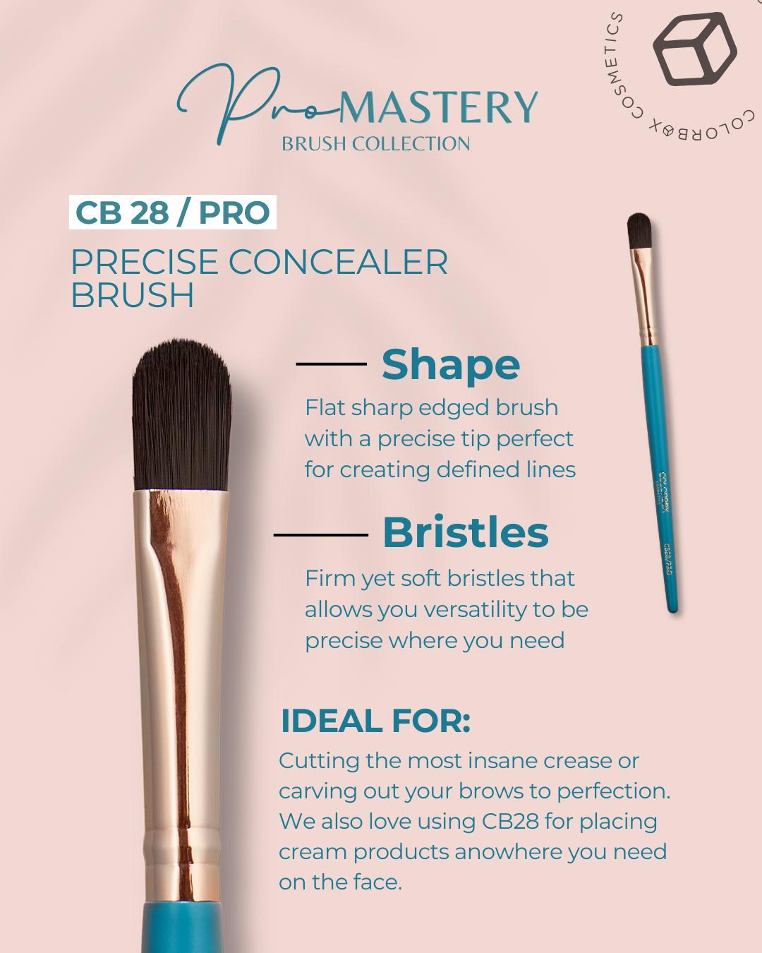 Cb Pro CB Pro Mastery Brush Set – Colorbox Cosmetics #StayFlawless